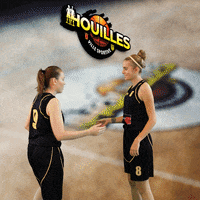 Houilles GIF by SOH Basketball