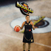 Houilles GIF by SOH Basketball
