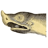 Super Star Love Sticker