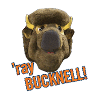 Bucknell bison bucky bucknell raybucknell Sticker