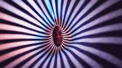 meowwolf meow wolf experience tube GIF