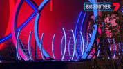 Leaving Big Brother GIF by Big Brother Australia