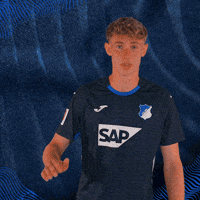 Sport Hallo GIF by TSG Hoffenheim