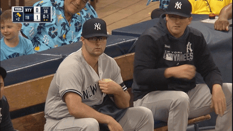 Jomboy giphyupload GIF