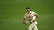 umichathletics fistpump brewer michiganbaseball GIF