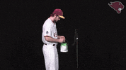 Cuc GIF by CUCougars
