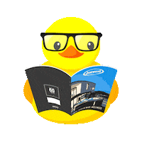 Duck Magazine Sticker by Jacuzzi France