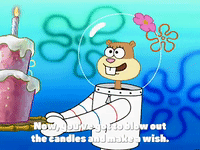 season 3 GIF by SpongeBob SquarePants