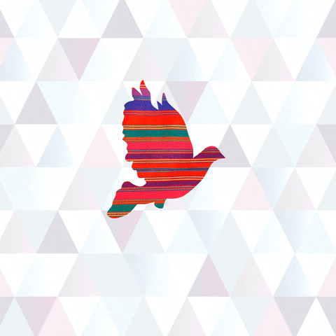 color flying GIF by G1ft3d