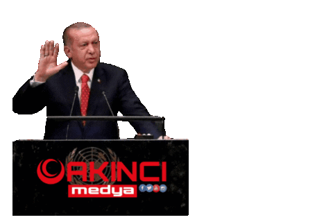 Rte Erdogan Sticker by akincinet