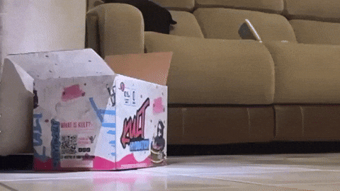 Jointhekult Stay Hydrated GIF by Kult