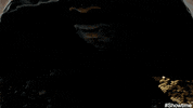 deontay wilder punch GIF by SHOWTIME Sports
