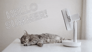 Hot Summer GIF by Sealed With A GIF