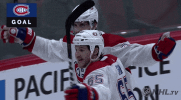 Happy Ice Hockey GIF by NHL