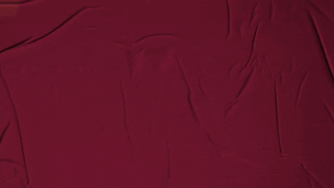 College Baseball GIF by Pearl River Athletics