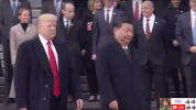 zheng zhi GIF