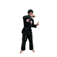 Karate Taekwondo Sticker by Team GMA