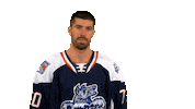 Wolf Pack Hwp Sticker by Hartford Wolf Pack