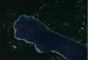 nails growing GIF by Nick