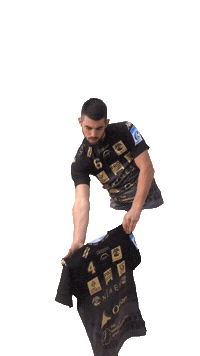 Handball Europe Sticker by USAM NIMES GARD