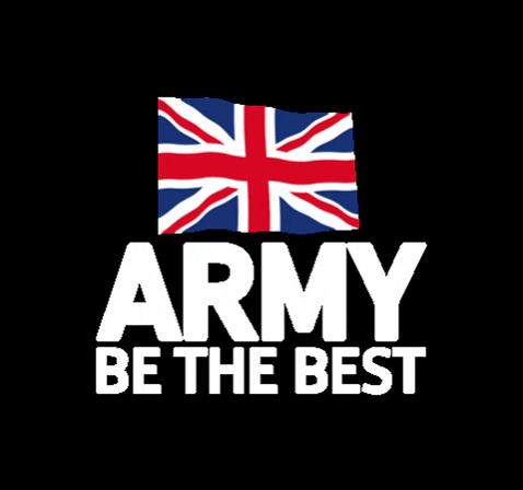 TheGuards giphygifmaker army guards britisharmy GIF