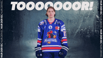 Happy Sport GIF by Iserlohn Roosters