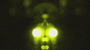 Art Video GIF by jorgemariozuleta