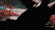 Trampa show rave bl dubstep GIF