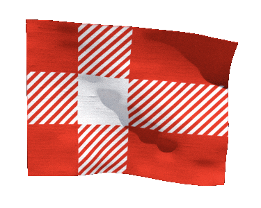 Birthday Flag Sticker by Arla Foods