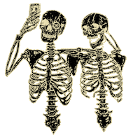 Fashion Picture Sticker by ARIES