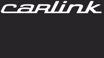 Carlink carlink carlinklogo carlinkinternational GIF