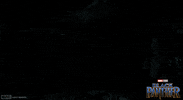 Black Panther Hiding GIF by Marvel Studios