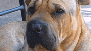 GIF by PreUnic