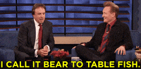 teamcoco kevin nealon GIF