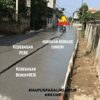 Pamfletim GIF by Tim Pamflet
