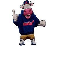 SurlatProtein vaca proteina surlat surlatwhey Sticker