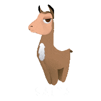 Salta Turismo Sticker by Viajando por Salta
