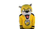Hockey Win Sticker by HC Pustertal Wolves