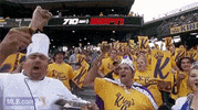 sea GIF by MLB