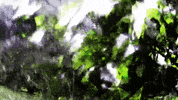 Art Design GIF by jorgemariozuleta