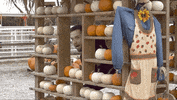 White Girl Fall GIF by Trey Kennedy
