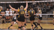 mkepanthers GIF by Kayla Schaffer