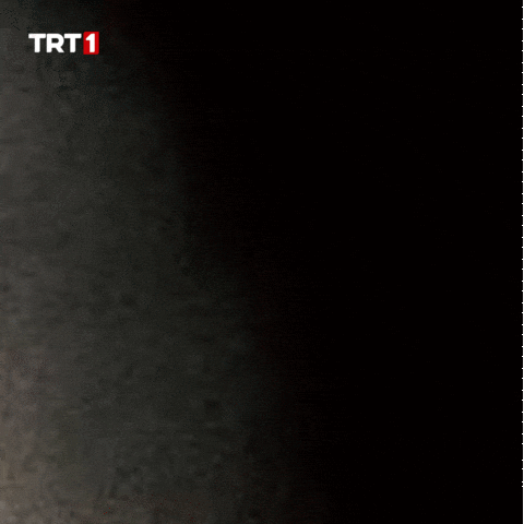 Man Hello GIF by TRT