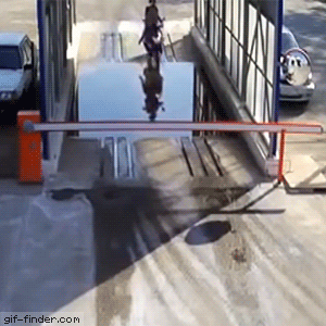 break rules GIF
