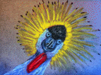 Bird Glee GIF by The LSD Hotel