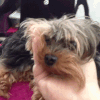 GIF by andymilonakis