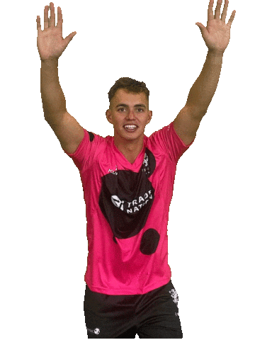 Josh Thomas Ball Sticker by Somerset County Cricket Club