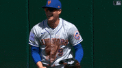 Happy Major League Baseball GIF by New York Mets