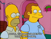 Season 2 Episode 13 GIF by The Simpsons