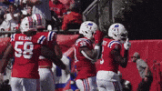 Football Nfl GIF by New England Patriots